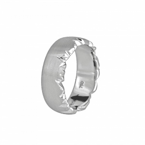 Ring Alpenring GT1360