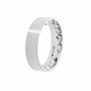 Ring Alpenring GT260