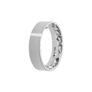 Ring Alpenring GT270