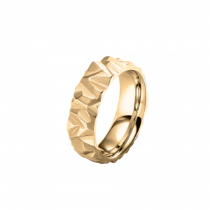 Ring Alpenring GR180